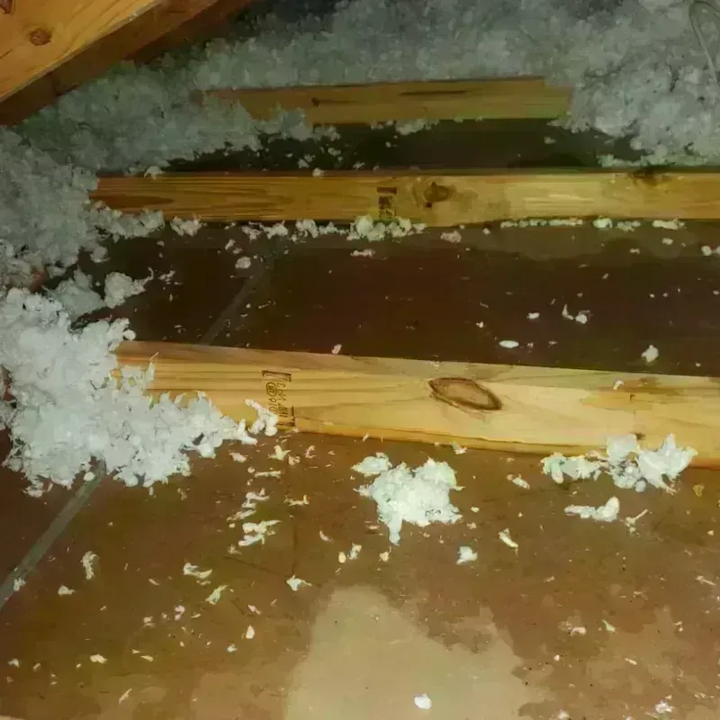 Attic Water Damage in Andover, NH